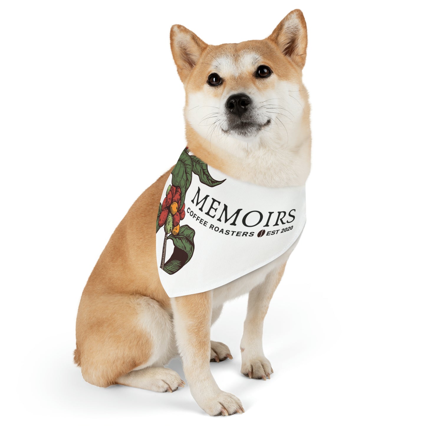 Memoirs Coffee Pet Bandana Collar