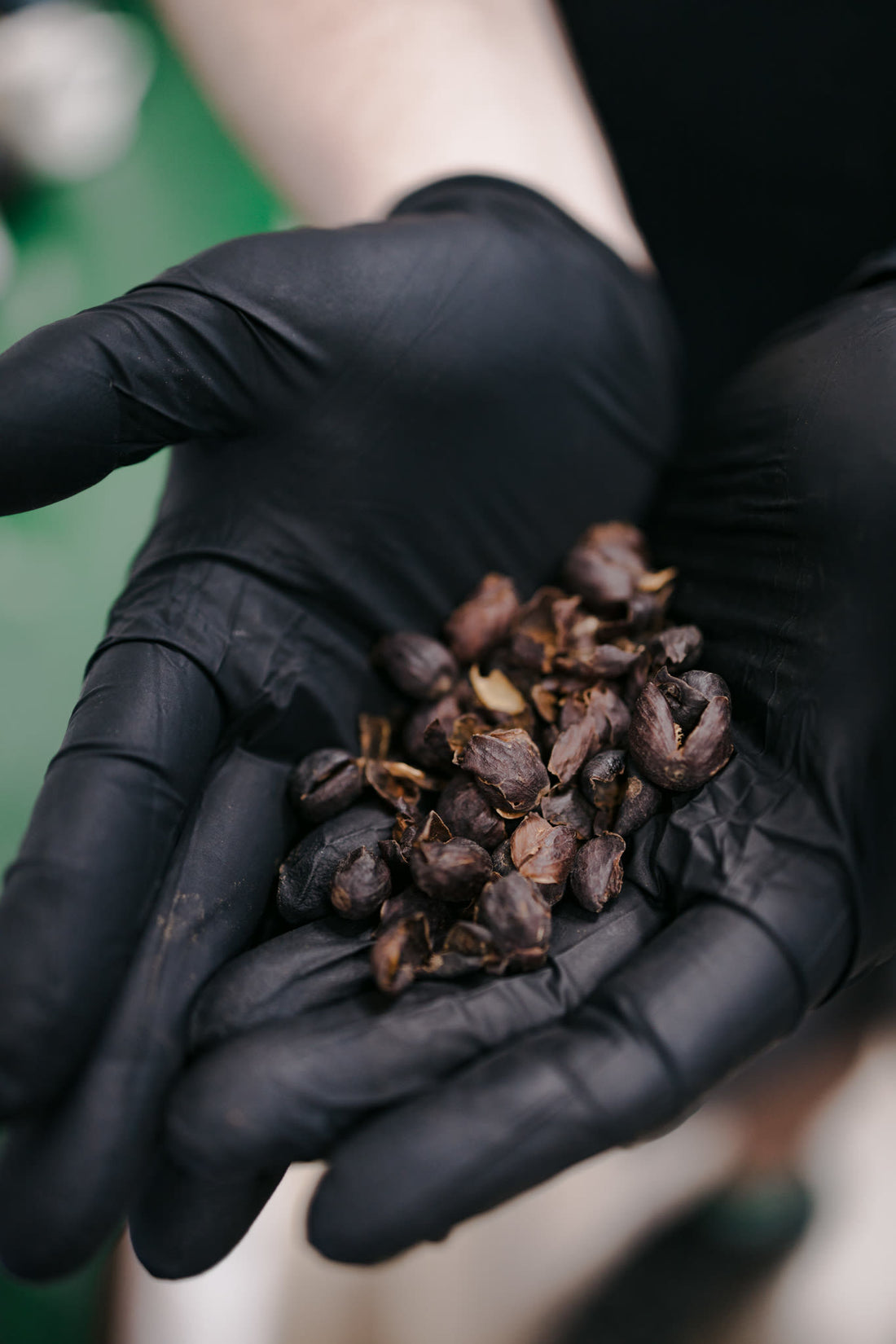 The Art and Science of Coffee Processing: Unveiling the Journey from Bean to Cup Introduction